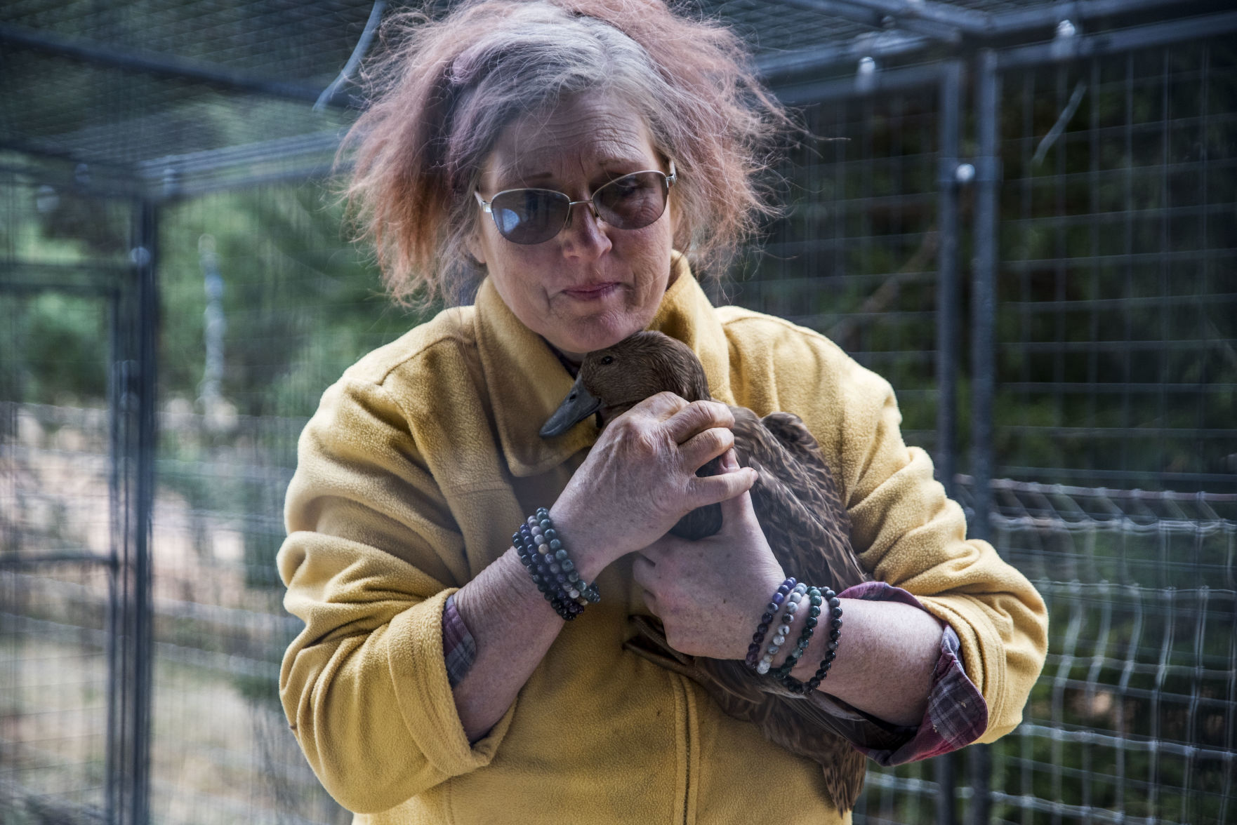 Animal Sanctuary